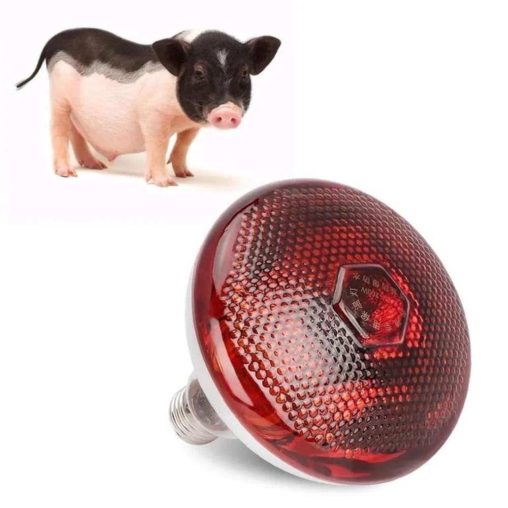 FOCO INFRARROJO CALEFACCIÓN PARA CERDOS PERROS POLLOS 150W