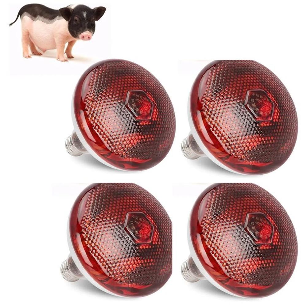 FOCO INFRARROJO CALEFACCIÓN PARA CERDOS PERROS POLLOS 150W PACK X4 FOCO INFRARROJO CALEFACCIÓN PARA CERDOS PERROS POLLOS 150W PACK X4