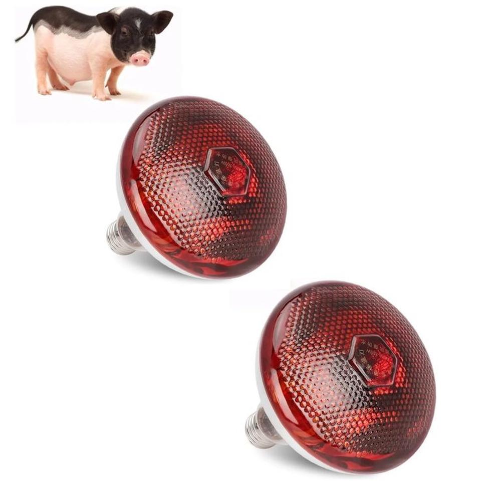 Foco Infrarrojo Calefacción Para Cerdos Perros Pollos 200w Pack X2 Foco Infrarrojo Calefacción Para Cerdos Perros Pollos 200w Pack X2