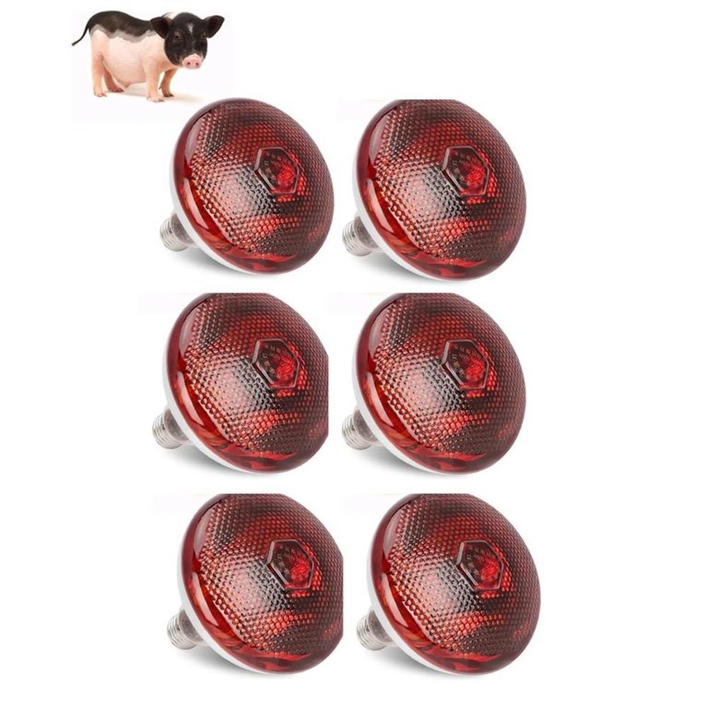 Foco Infrarrojo Calefacción Para Cerdos Perros Pollos 100w Pack X6 Foco Infrarrojo Calefacción Para Cerdos Perros Pollos 100w Pack X6
