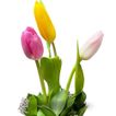 Image-3