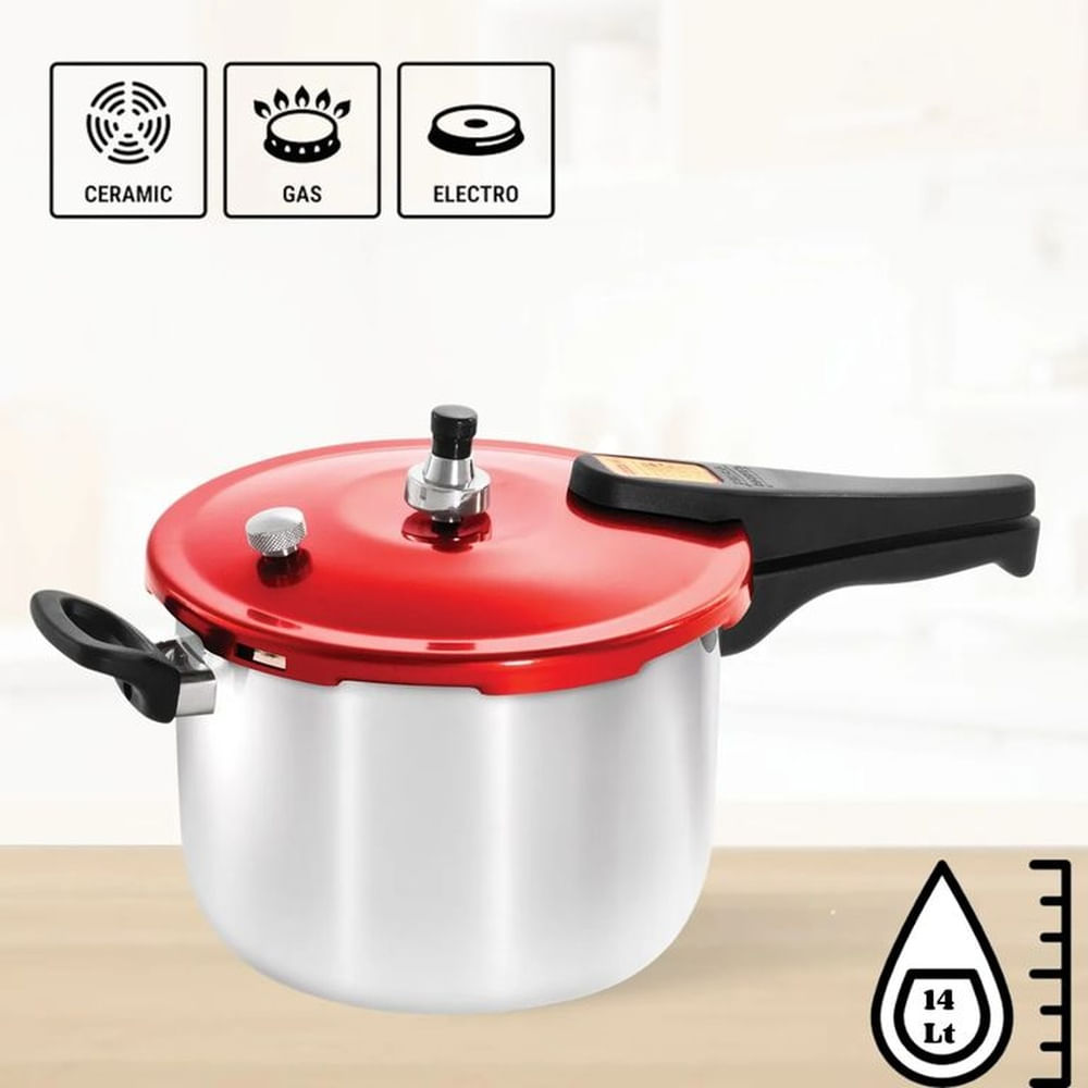 Olla A Presión Alum Press 14L