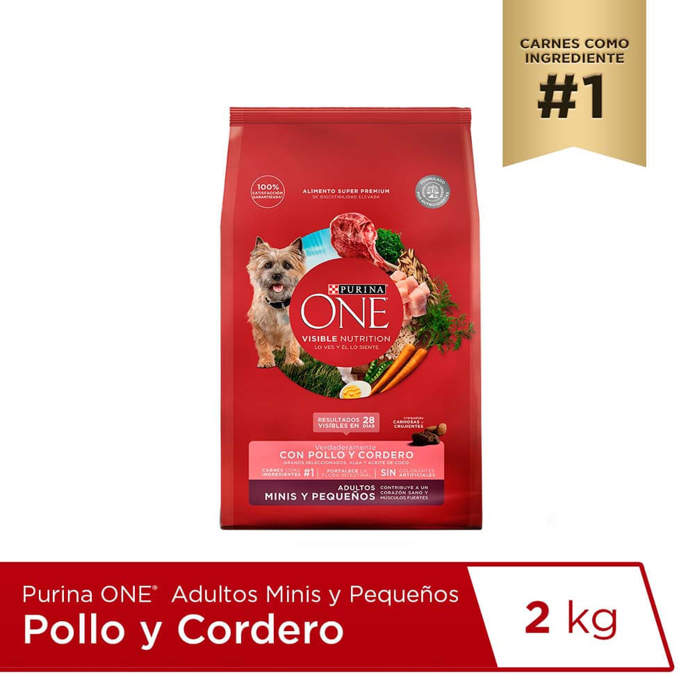 Alimento para Perro ONE Adulto Minis y Pequeños Sabor Pollo y Cordero Bolsa 2Kg Alimento para Perro ONE Adulto Minis y Pequeños Sabor Pollo y Cordero Bolsa 2Kg