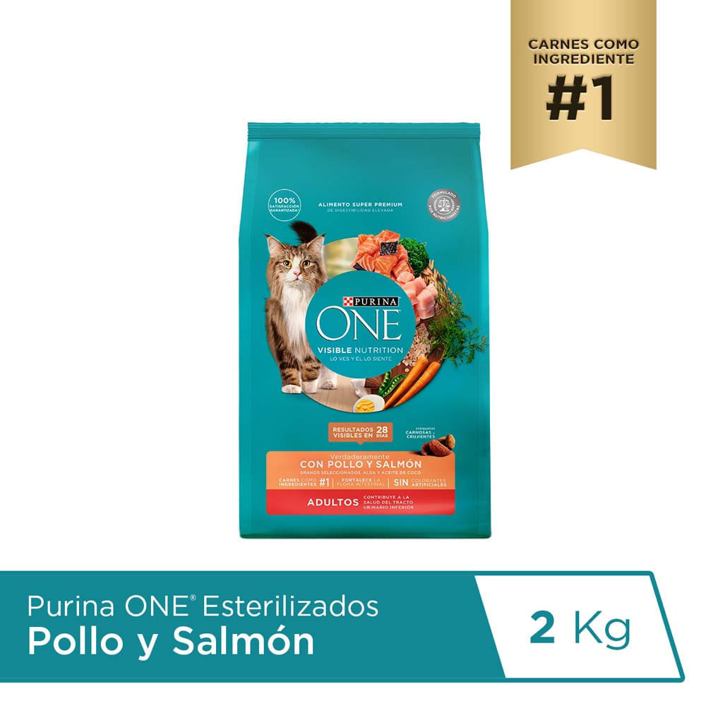 Alimento para Gato PURINA One Adultos Sabor Pollo y Salmon en Bolsa de 2kg Alimento para Gato PURINA One Adultos Sabor Pollo y Salmon en Bolsa de 2kg