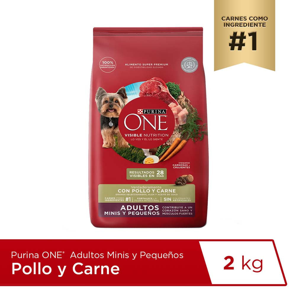 Alimento para Perro ONE Adulto Minis y Pequeños Sabor Pollo y Carne Bolsa 2Kg Alimento para Perro ONE Adulto Minis y Pequeños Sabor Pollo y Carne Bolsa 2Kg