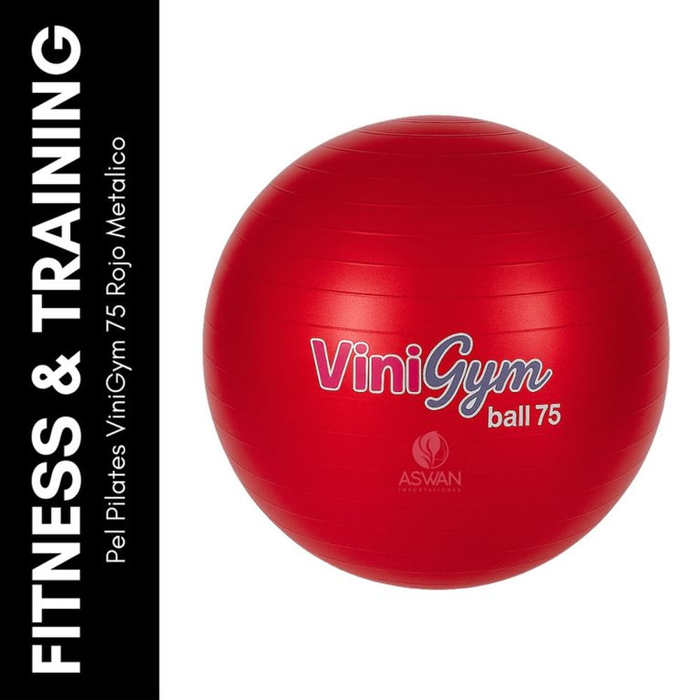 Pelota Pilates ViniGym 75 Rojo Metalico