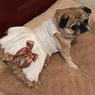 imageUrl_2