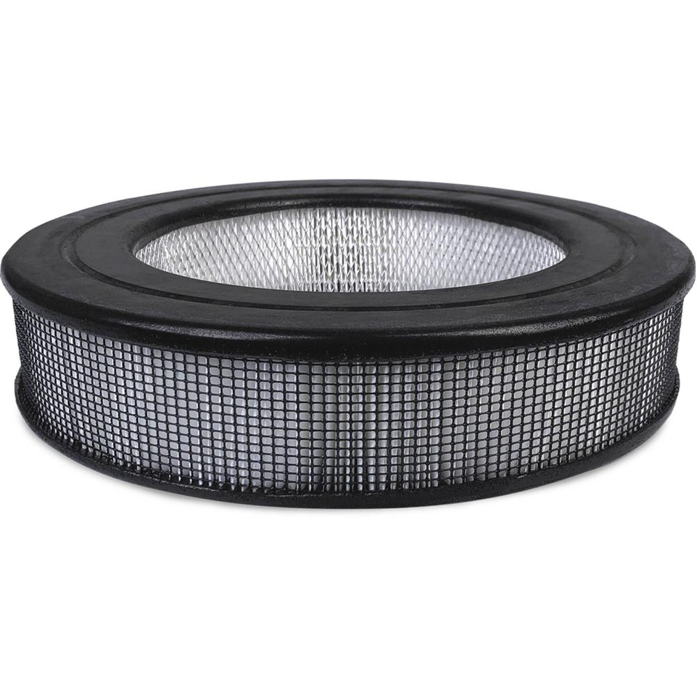 Filtro HEPA Honeywell HRF-F1 F-Type para Purificadores de Aire - Captura Partículas de hasta 0.3 Mic 1811816-REG Filtro HEPA Honeywell HRF-F1 F-Type para Purificadores de Aire - Captura Partículas de hasta 0.3 Mic 1811816-REG