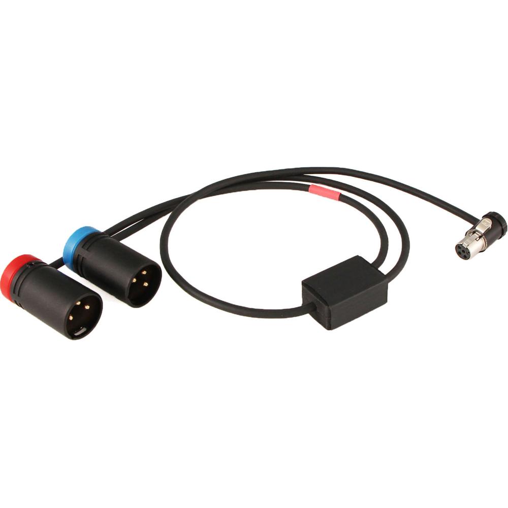 Cable Techniques TA5F a 2x XLR 3-Pin Macho Y-Cable de Bajo Perfil para Receptor Lectrosonics SRc5P/S 1296484-REG Cable Techniques TA5F a 2x XLR 3-Pin Macho Y-Cable de Bajo Perfil para Receptor Lectrosonics SRc5P/S 1296484-REG