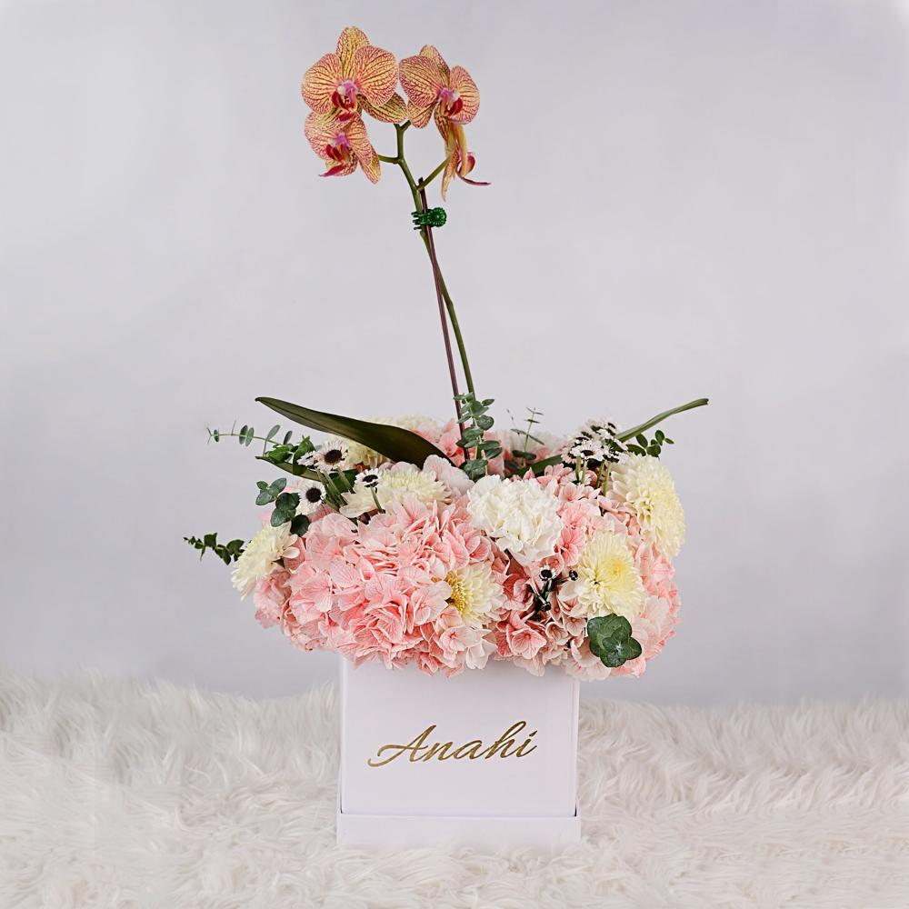 Box Anahi - San valentin