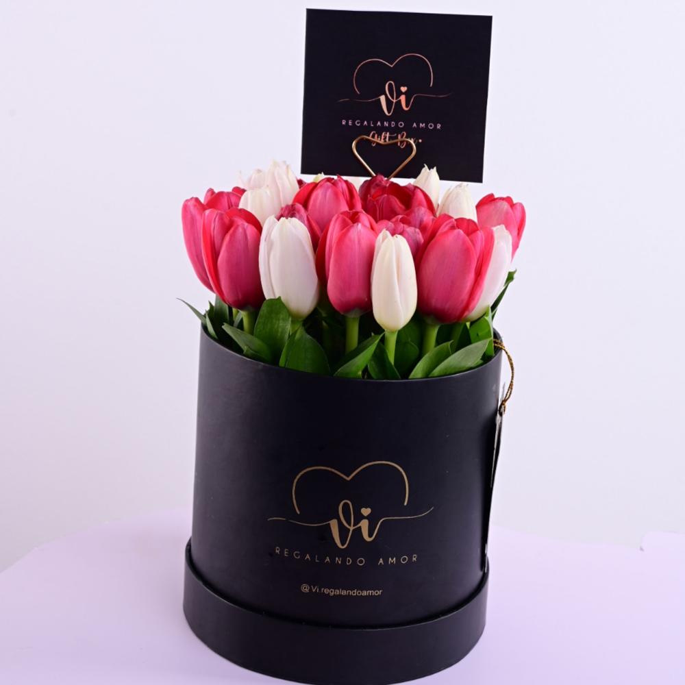 Box 25 tulipanes colores aleatorios