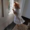 imageUrl_2