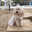 imageUrl_10