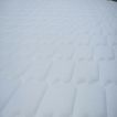 imageUrl_4
