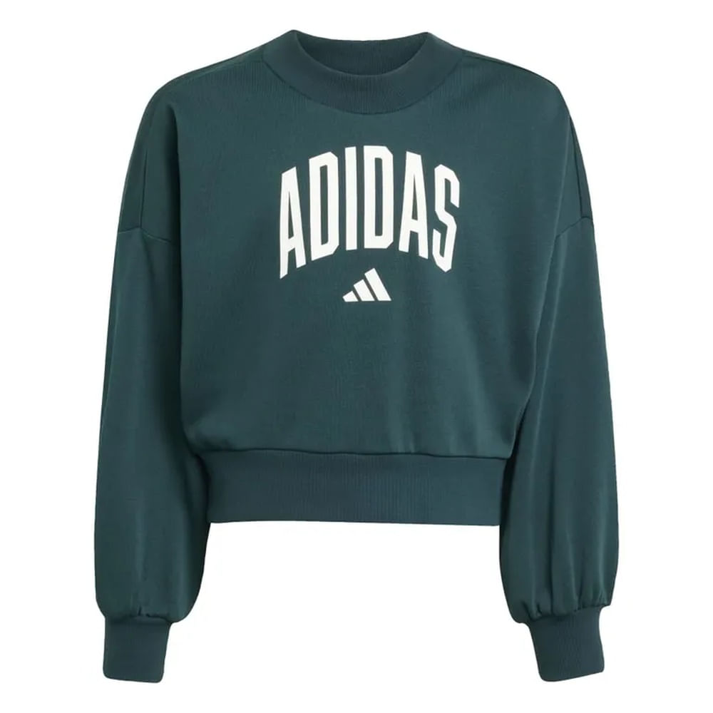 Polera Adidas JG CLGT FT SWT   JV7377