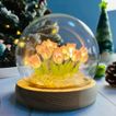 imageUrl_3