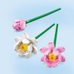 imageUrl_4