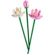 imageUrl_2