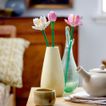 imageUrl_5