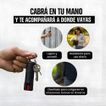 imageUrl_2
