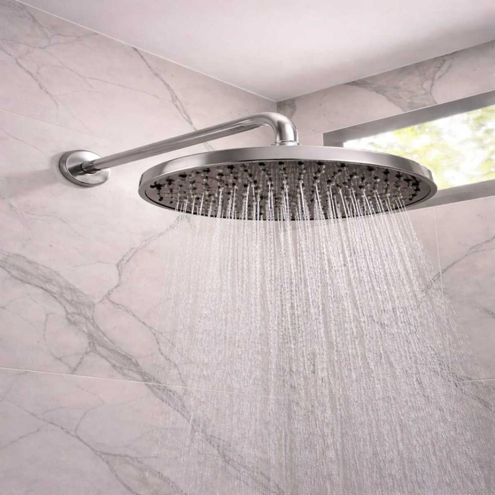 DUCHA REDONDA 12 PULGADAS CON BRAZO