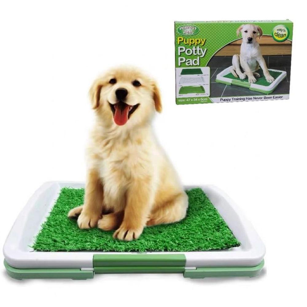 Baño Portátil Entrenamiento Perros Gatos Orinal Genieka Verde Baño Portátil Entrenamiento Perros Gatos Orinal Genieka Verde