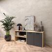 imageUrl_2