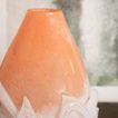 imageUrl_3