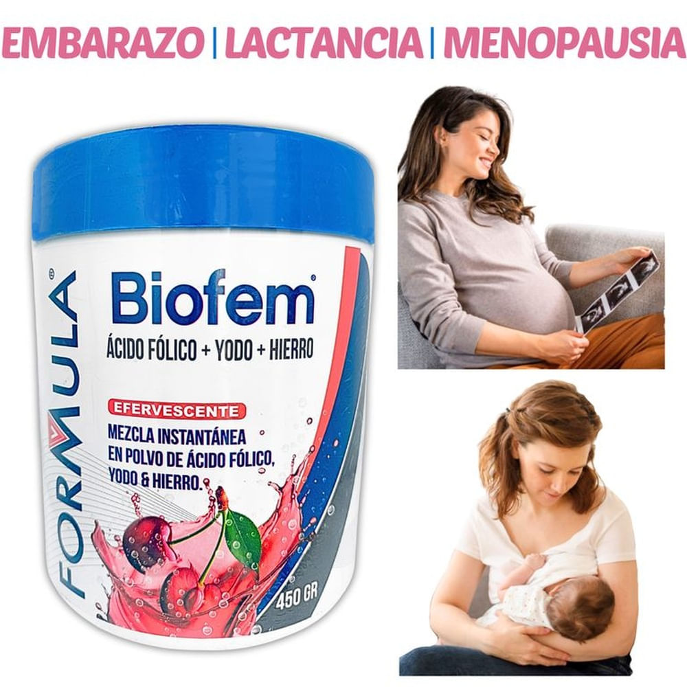 ACIDO FOLICO 400 MCG YODO HIERRO 450 GRAMOS EN POLVO FORMULA V
