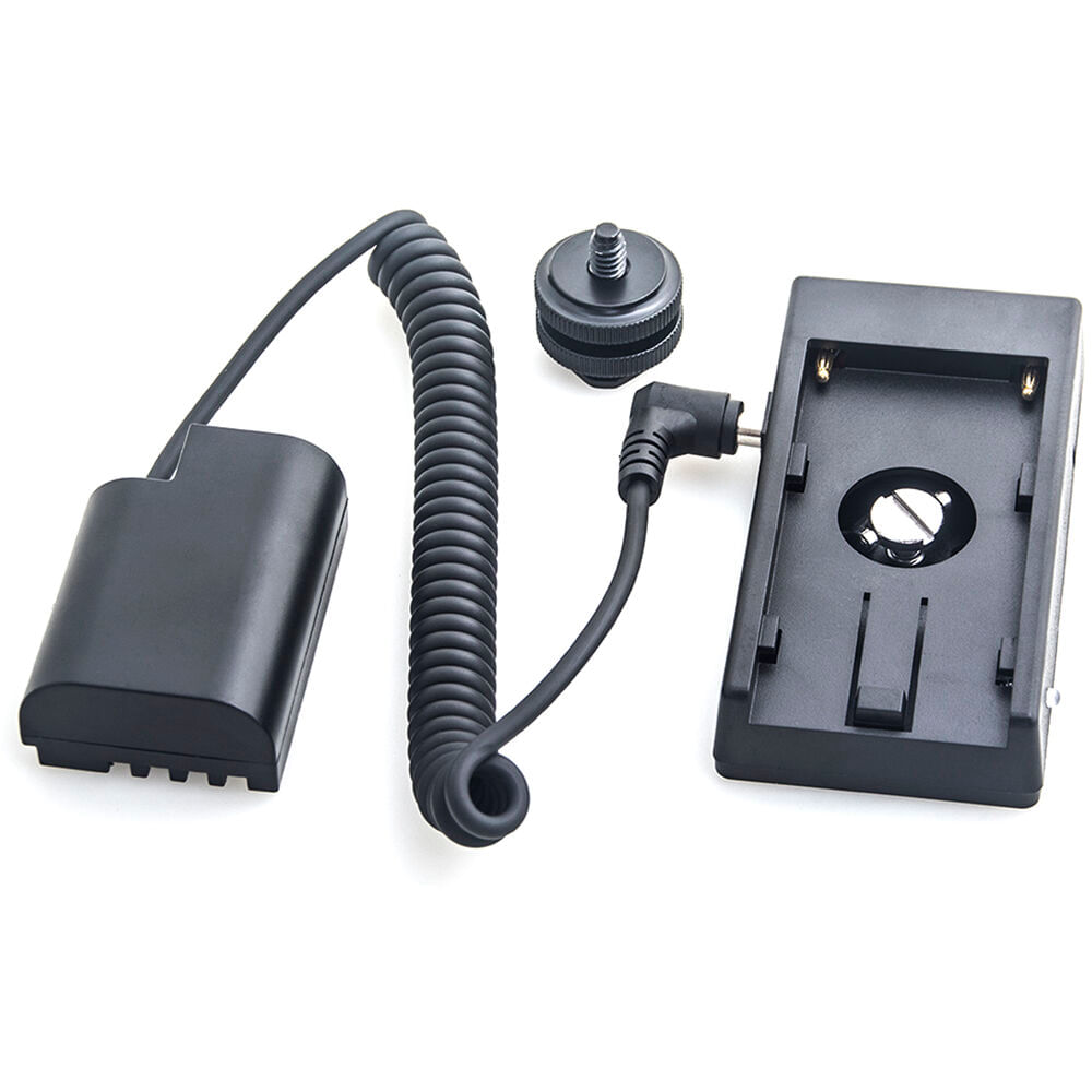 Placa de Batería L-Series DigitalFoto Solution Limited para Batería Falsa DMW-DCC12 (Cable Enrollad