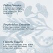 imageUrl_6