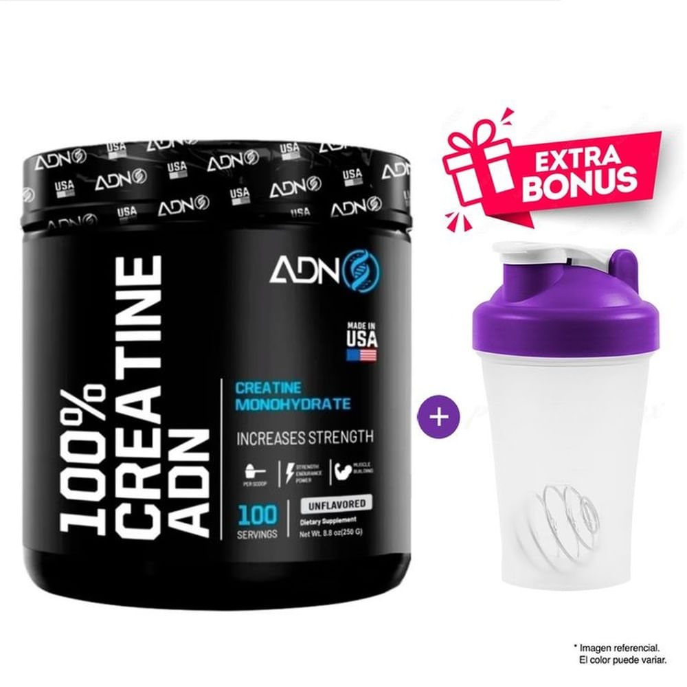 AMINOÁCIDO CREATINA ADN 250 GRAMOS AND NUTRITION