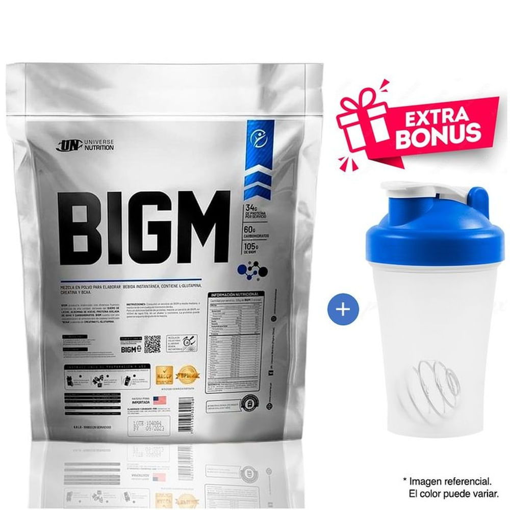 BIGM PROTEINA SUERO DE LECHE 5KG COOKIES