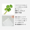 imageUrl_3