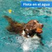image-7ec88a0c39d4424ea8be3793fed60072