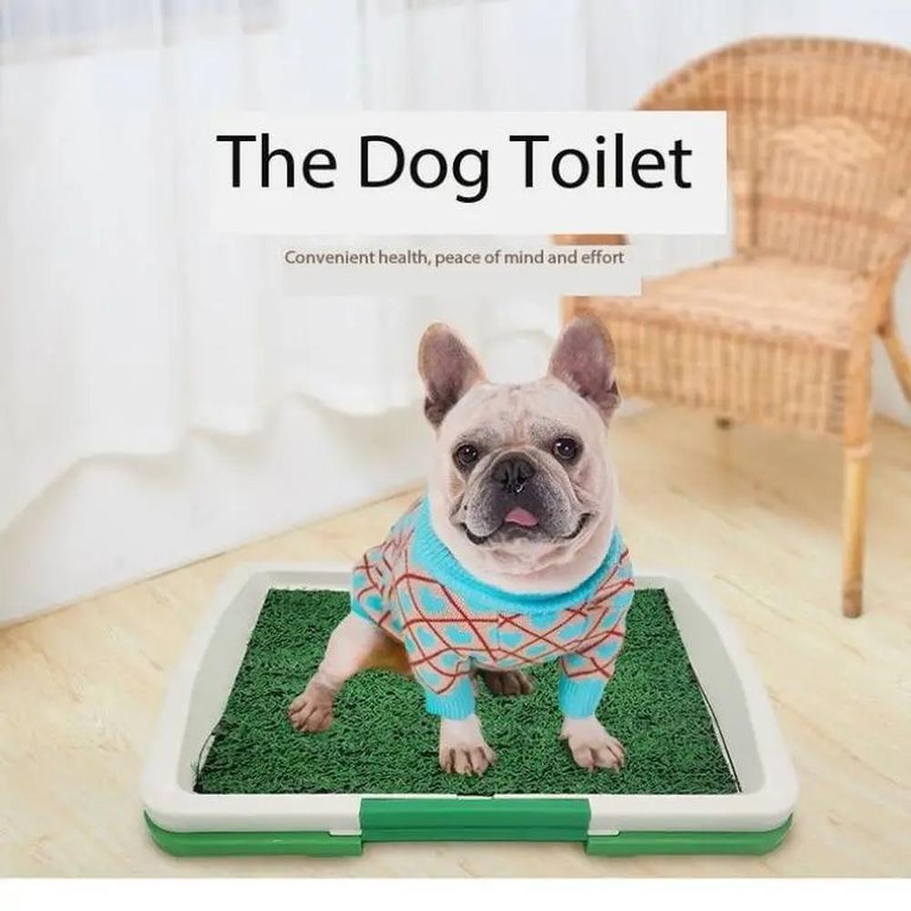 Portátil Baño Entrenamiento Perros Gatos Mascotas Genieka Verde Portátil Baño Entrenamiento Perros Gatos Mascotas Genieka Verde