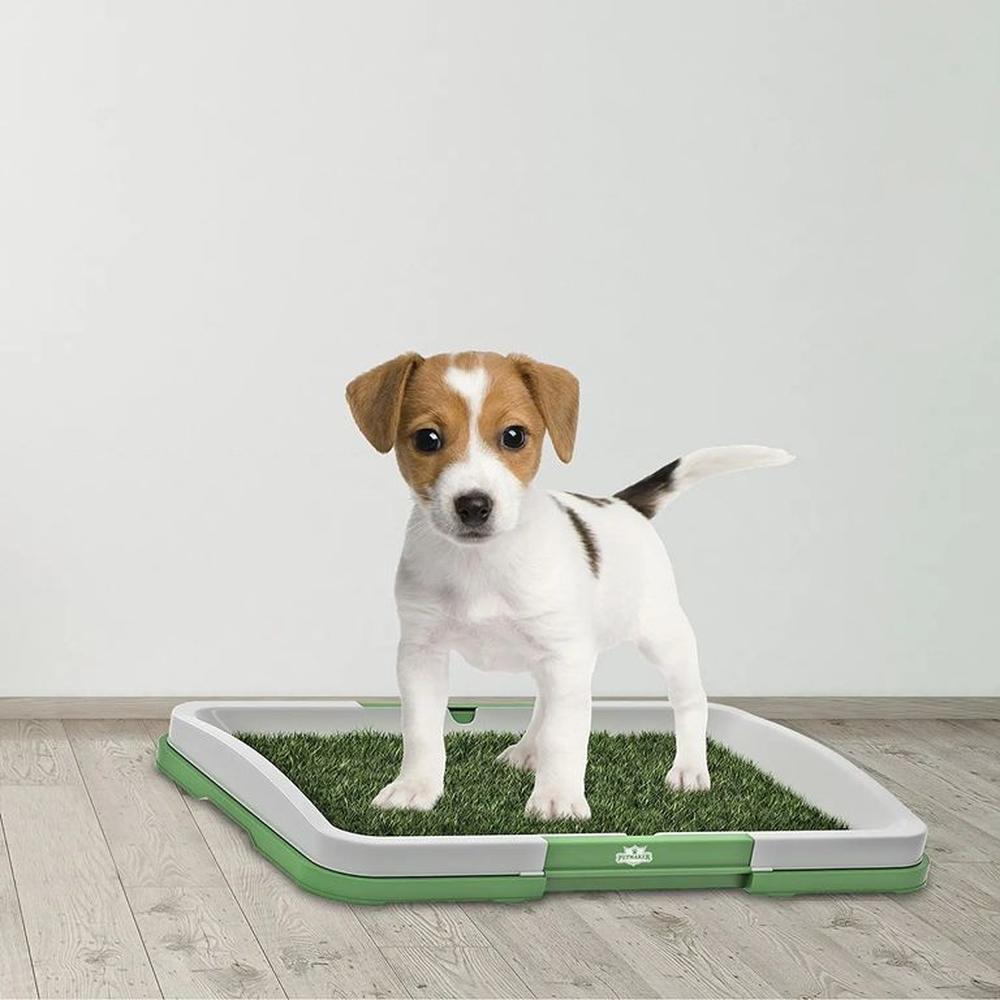 Toilet Portátil Entrenamiento Perros Gatos Mascotasl Genieka Verde Toilet Portátil Entrenamiento Perros Gatos Mascotasl Genieka Verde