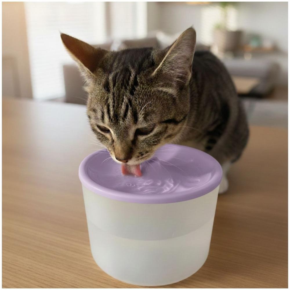 Bebedero con Fuente de Agua Eléctrico para Mascotas Gato Perro Morado Bebedero con Fuente de Agua Eléctrico para Mascotas Gato Perro Morado