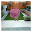imageUrl_3