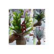 imageUrl_4