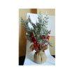 imageUrl_2
