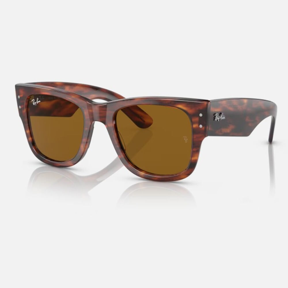Lentes de sol Ray ban mega wayfarer 0RB0840S marron 51m