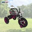 imageUrl_2
