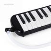 imageUrl_5