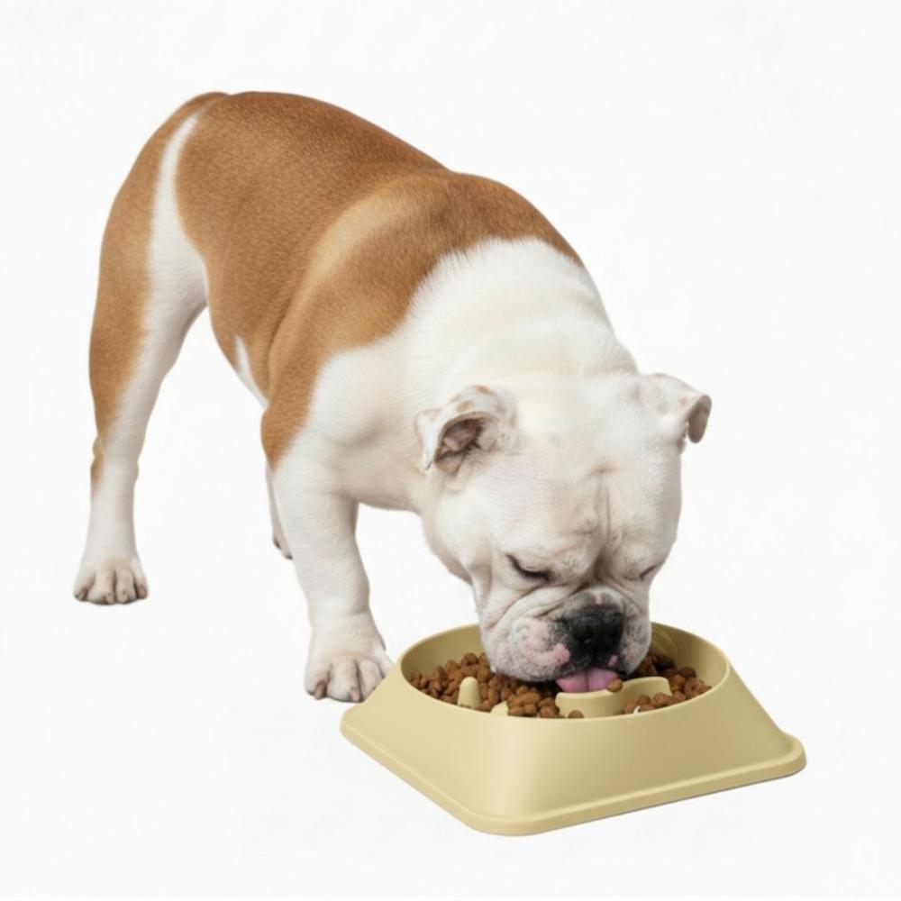 Plato Antiestrés para Mascotas Mejora Digestión Comedero Perros y Gatos Amarillo Plato Antiestrés para Mascotas Mejora Digestión Comedero Perros y Gatos Amarillo