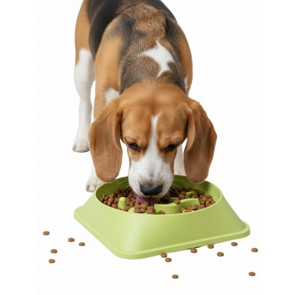 Plato Antiestrés para Mascotas Mejora Digestión Comedero Perros y Gatos Verde Plato Antiestrés para Mascotas Mejora Digestión Comedero Perros y Gatos Verde