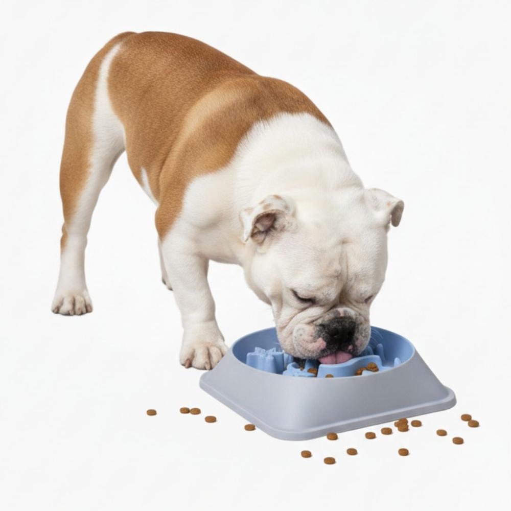 Plato Antiestrés para Mascotas Mejora Digestión Comedero Perros y Gatos Azul Plato Antiestrés para Mascotas Mejora Digestión Comedero Perros y Gatos Azul