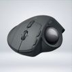 Image-4