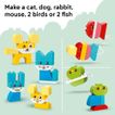 imageUrl_6