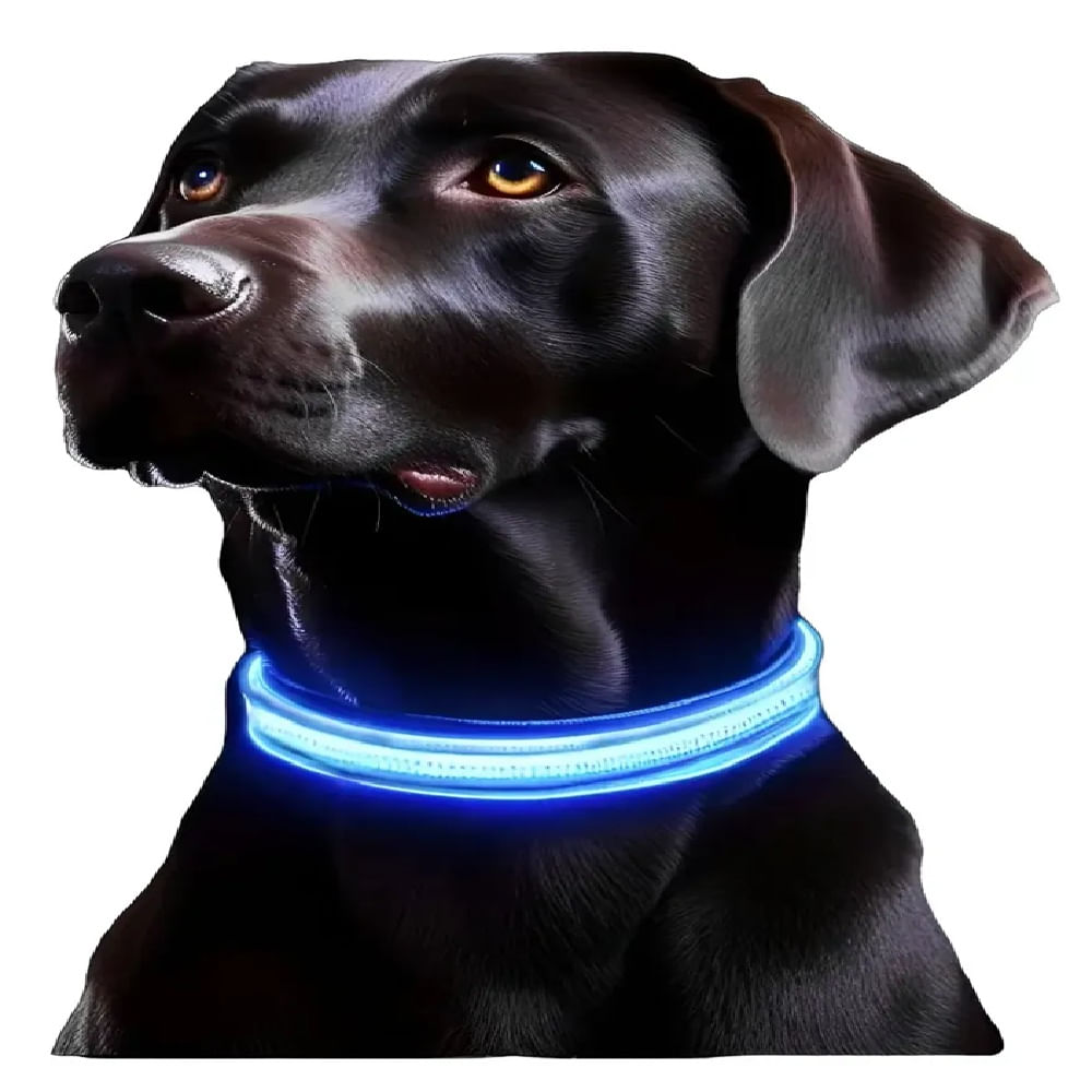 Collar Con Luz Led Blanca Reflectante Nailon Para Perro